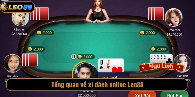 Tổng quan về xì dách online Leo88