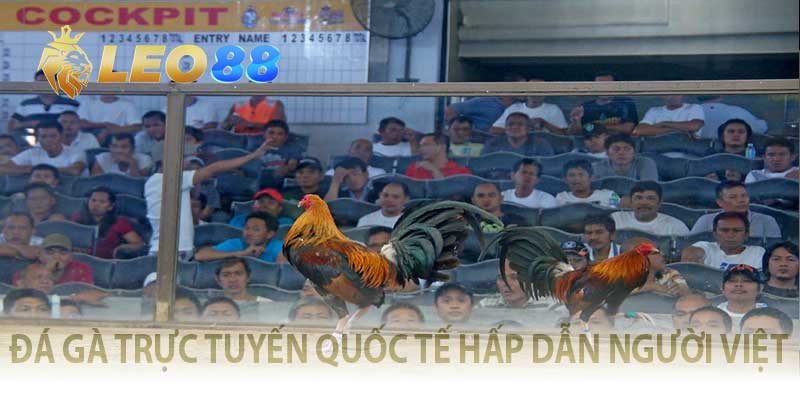 đá gà trực tuyến quốc tế hấp dẫn người việt