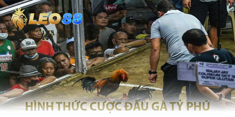 các hình thước cược đấu gà tỷ phú