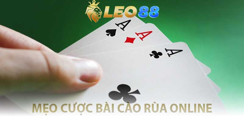 mẹo cược bài rùa online hiệu quả