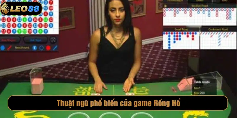 Thuật ngữ phổ biến với game Rồng Hổ 