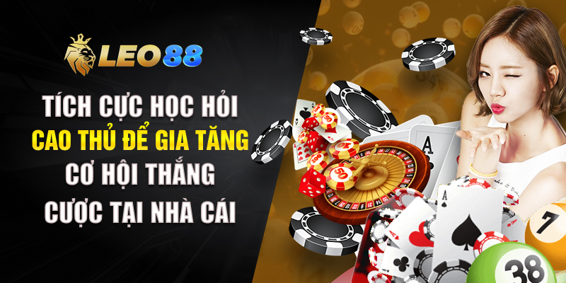 Tích cực học hỏi cao thủ để gia tăng cơ hội thắng cược tại nhà cái