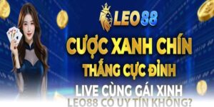 leo88 có uy tín không?