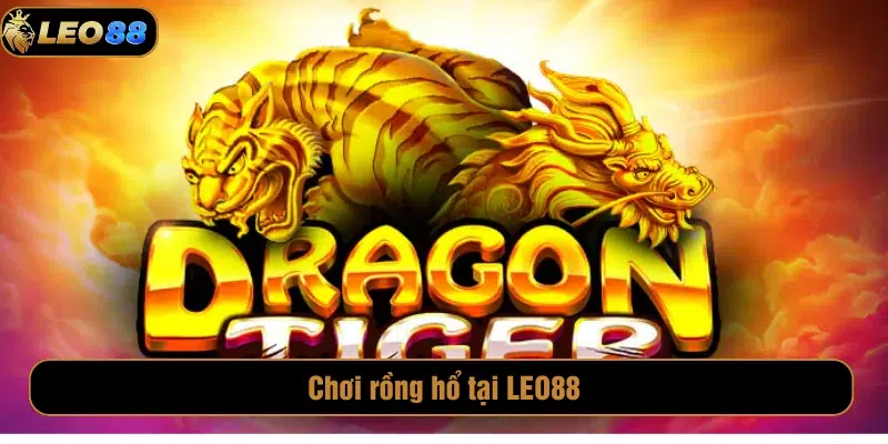Rồng Hổ Leo88